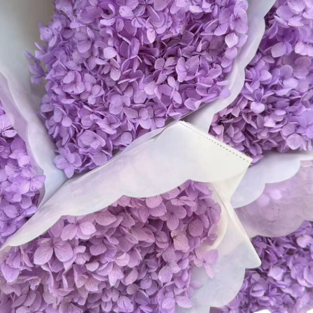 Preserved Purple Hydrangeas For Sale | Long Lasting Flowers